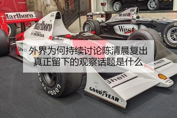 wai-jie-wei-he-chi-xu-tao-lun-chen-qing-chen-fu-chu-zhen-zheng-liu-xia-de-guan-cha-hua-ti-shi-shen-me-2-355.jpg