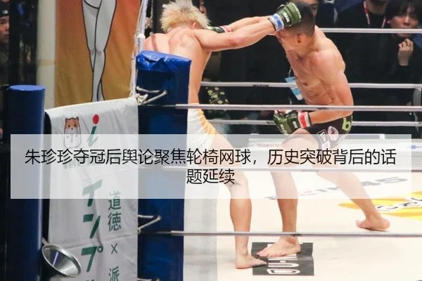 朱珍珍夺冠后舆论聚焦轮椅网球，历史突破背后的话题延续